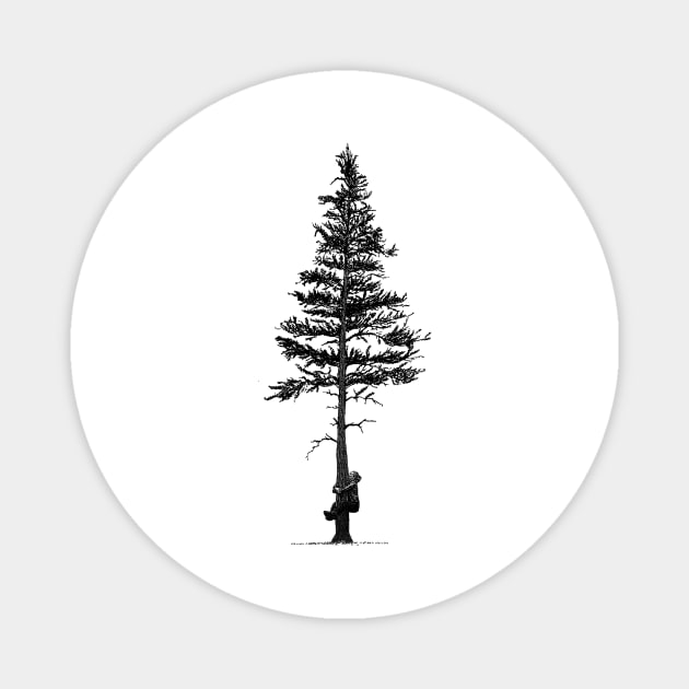 Tree Love Magnet by Birding_by_Design